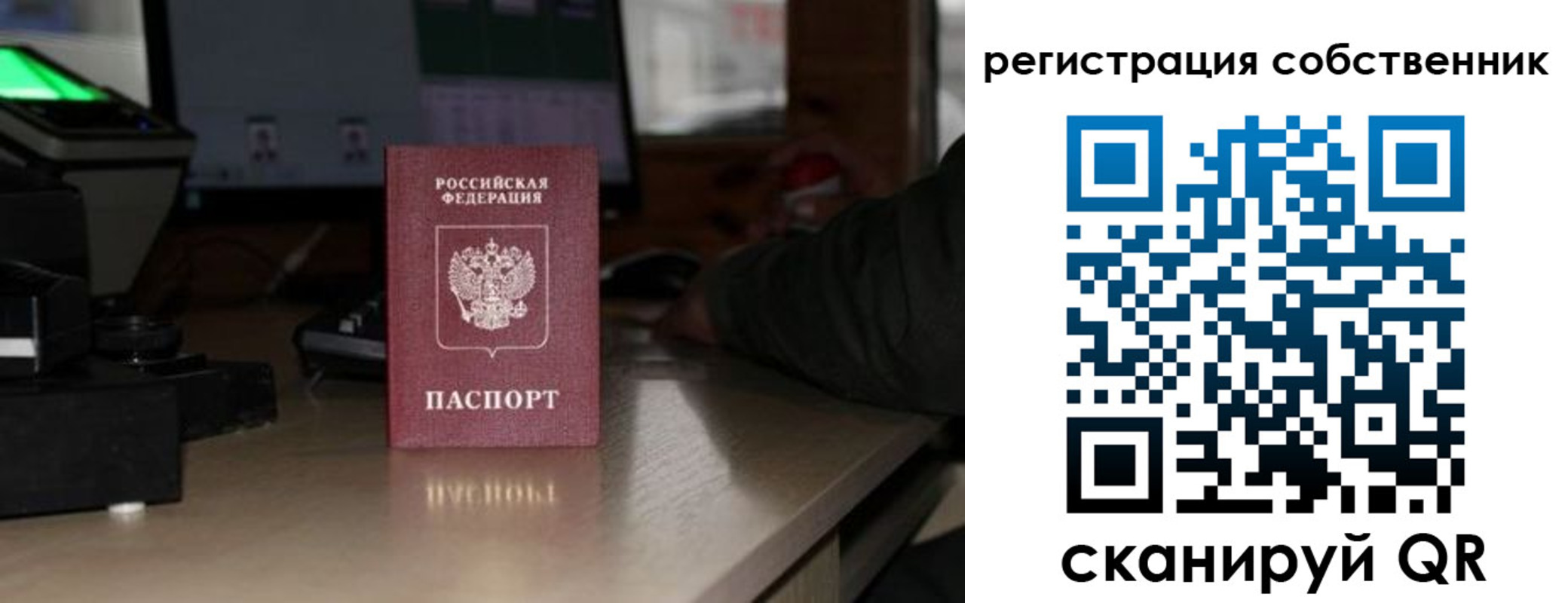 прописка поиск в Новомосковске