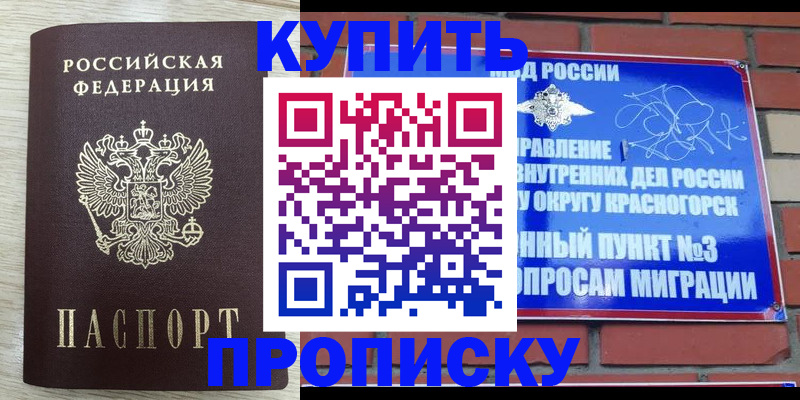 прописка гарантия в Новомосковске